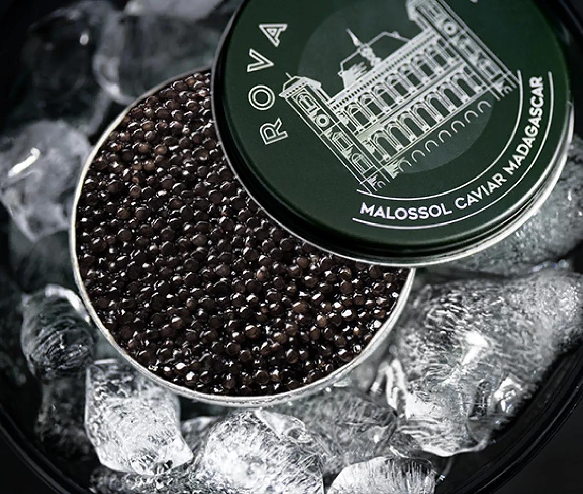 Boîte de caviar Baeri ouverte sur lit de glace pilée