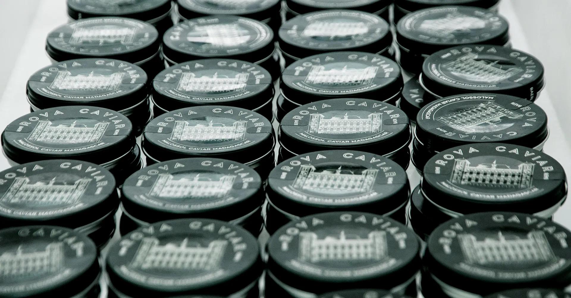 Production de boîte de caviar Baeri