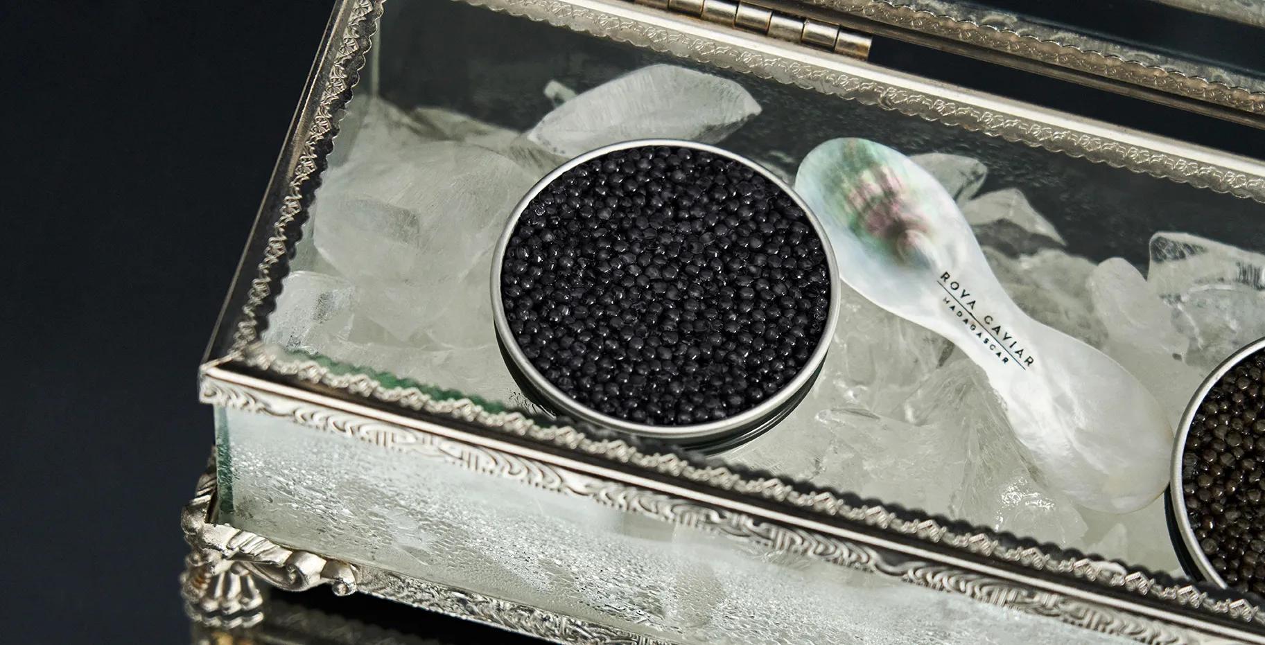 Boîte de caviar de 30g dans un coffre accompagné d'une cuillère en nacre