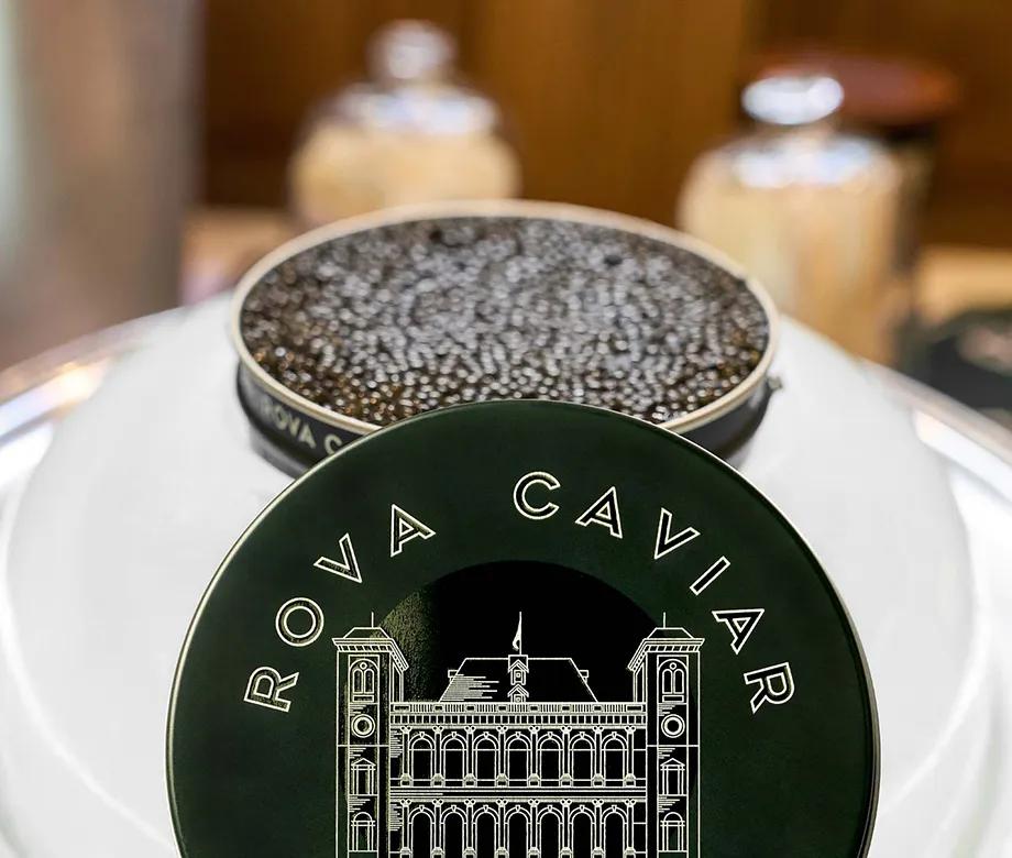 Boîte de caviar Rova sur dôme de glace avec zoome sur le couvercle