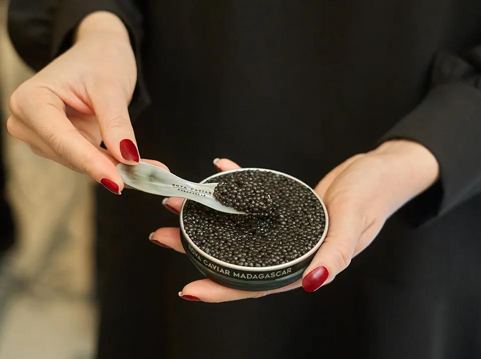 Dégustation élégante de boîte de caviar Rova 
