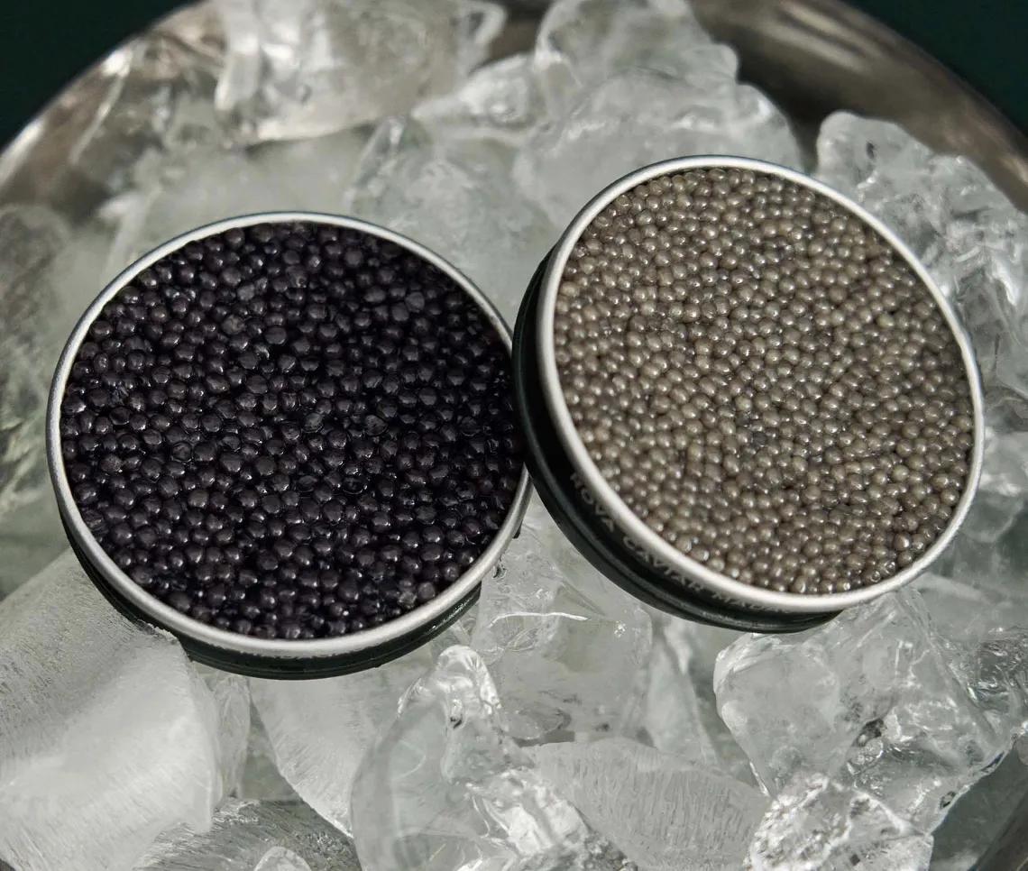 Boîtes de caviars ouvertes de Persicus et Shipova
