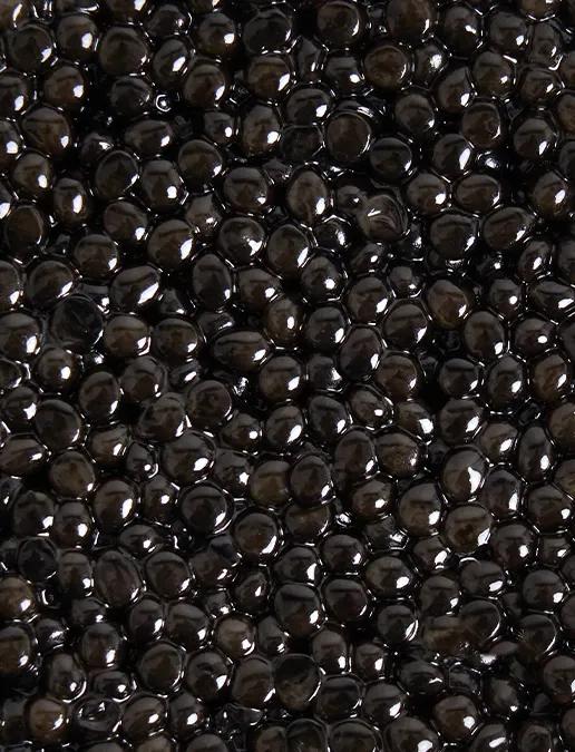 Close-up on Royal Persicus Ossetra caviar beads