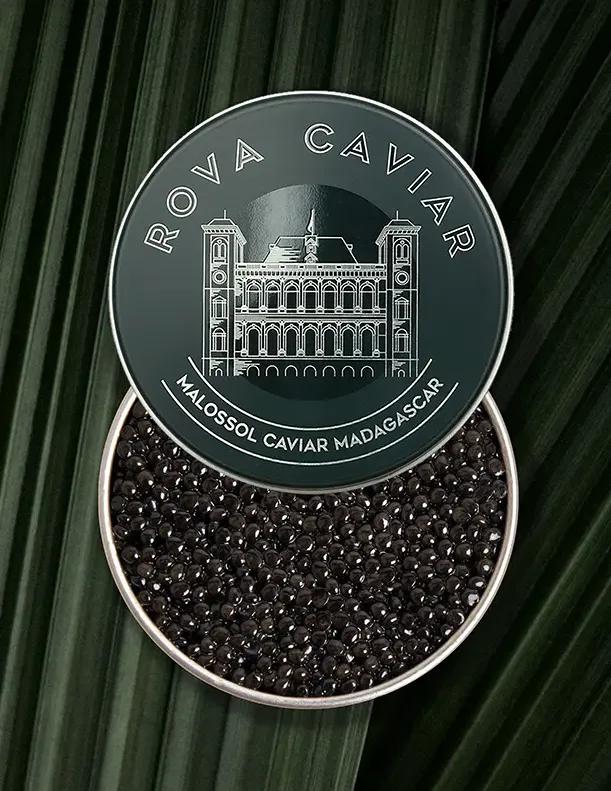 Boîte semi ouverte de caviar Osciètre Persicus sur fond naturel 