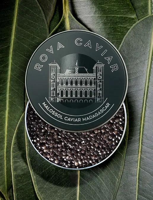 Semi-open box of Baeri Royal caviar on natural background