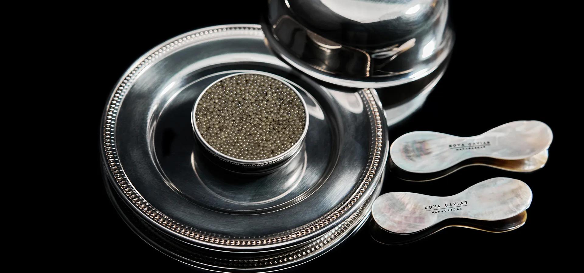 Service en argenterie et boîte de caviar Shipova Royal