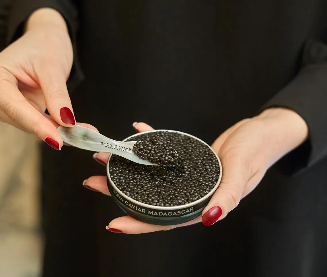 Dégustation élégante de boîte de caviar Rova 