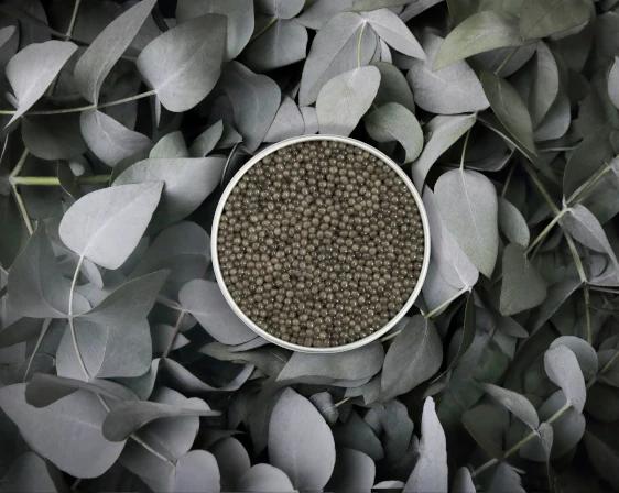 Boîte de caviar Shipova ouverte sur fond naturel d'eucalyptus