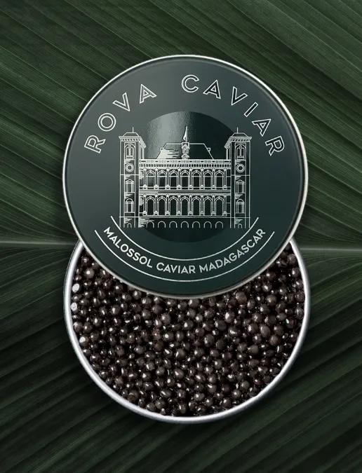 Boîte de caviar Osciètre Royal ouverte sur fond naturel
