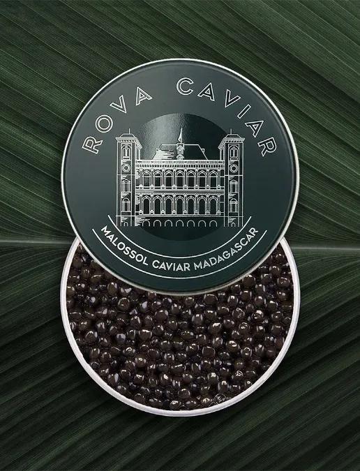 Boîte de caviar Osciètre Supreme ouverte avec couvercle sur fond naturel
