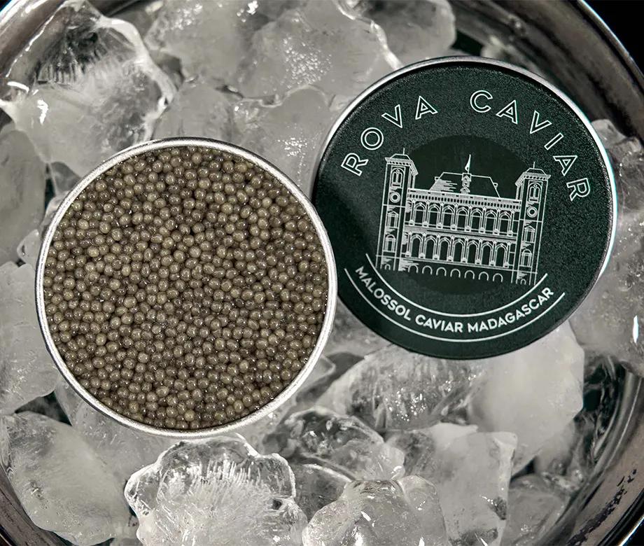 Boîte de caviar Shipova aux teintes claires ouverte sur lit de glaçon