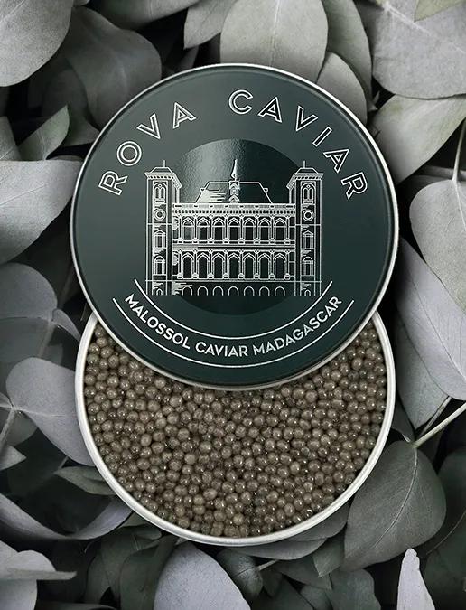 Boîte semi ouverte de caviar Shipova sur fond naturel