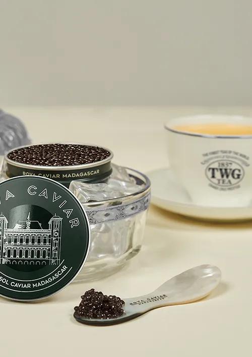 Dégustation de thé TWG et de caviar 