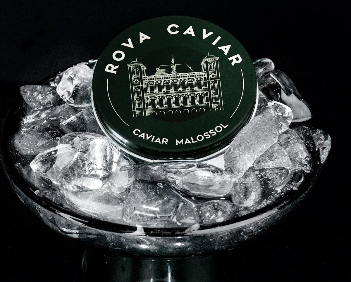 Closed Rova Caviar Box on a bed of crushed ice