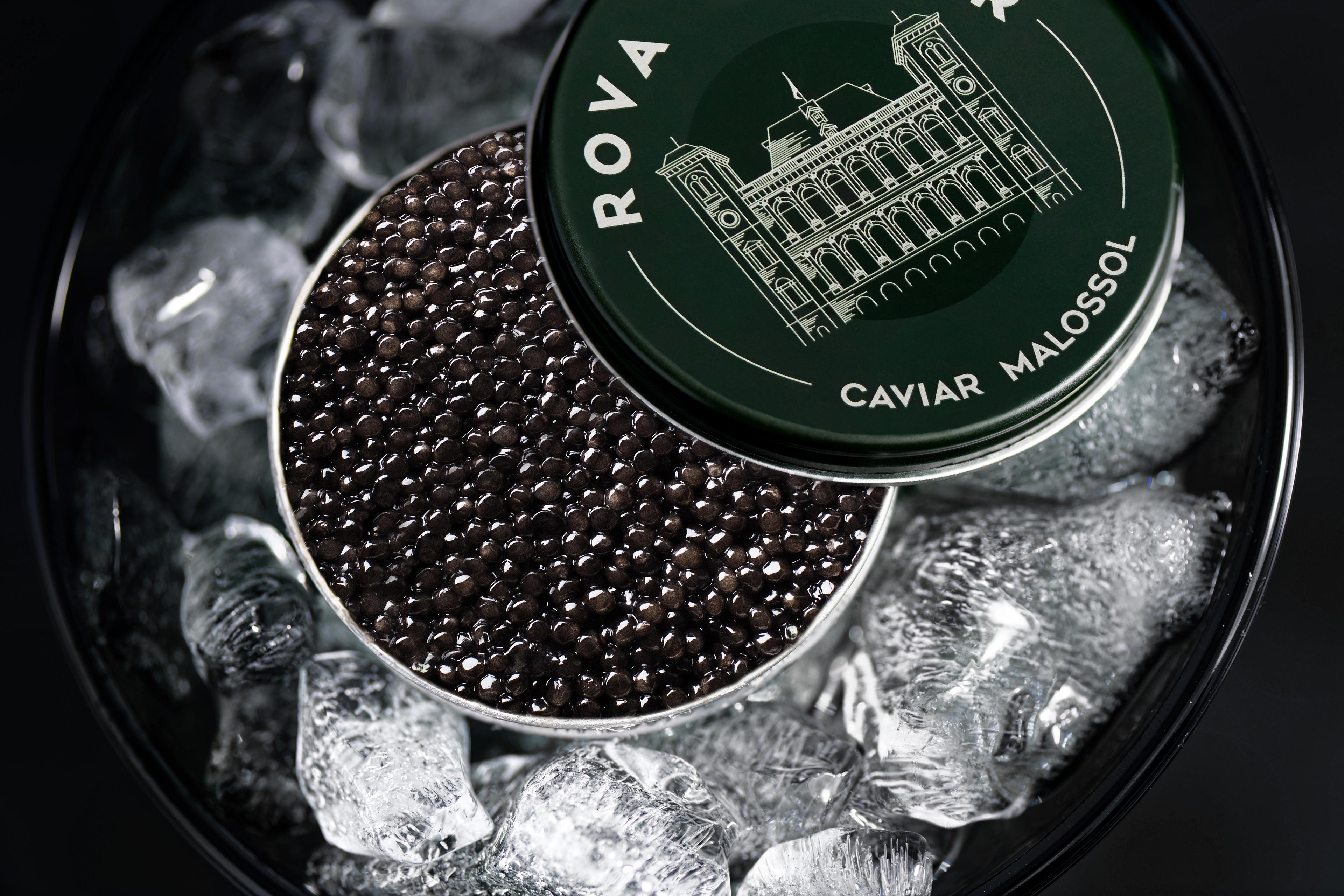 Caviar pour votre plaisir personnel