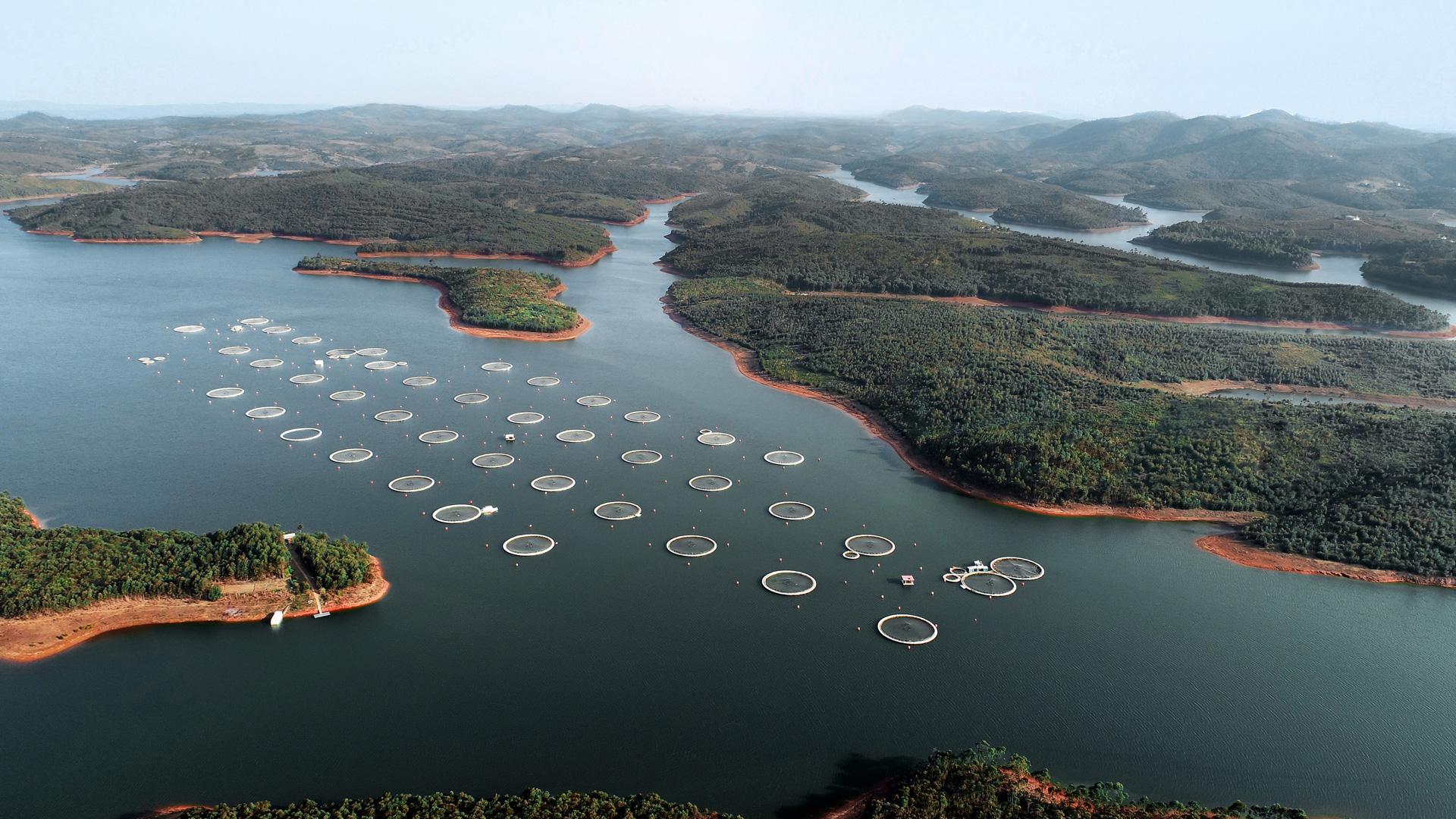 Farm structures on lake site as seen from a drone