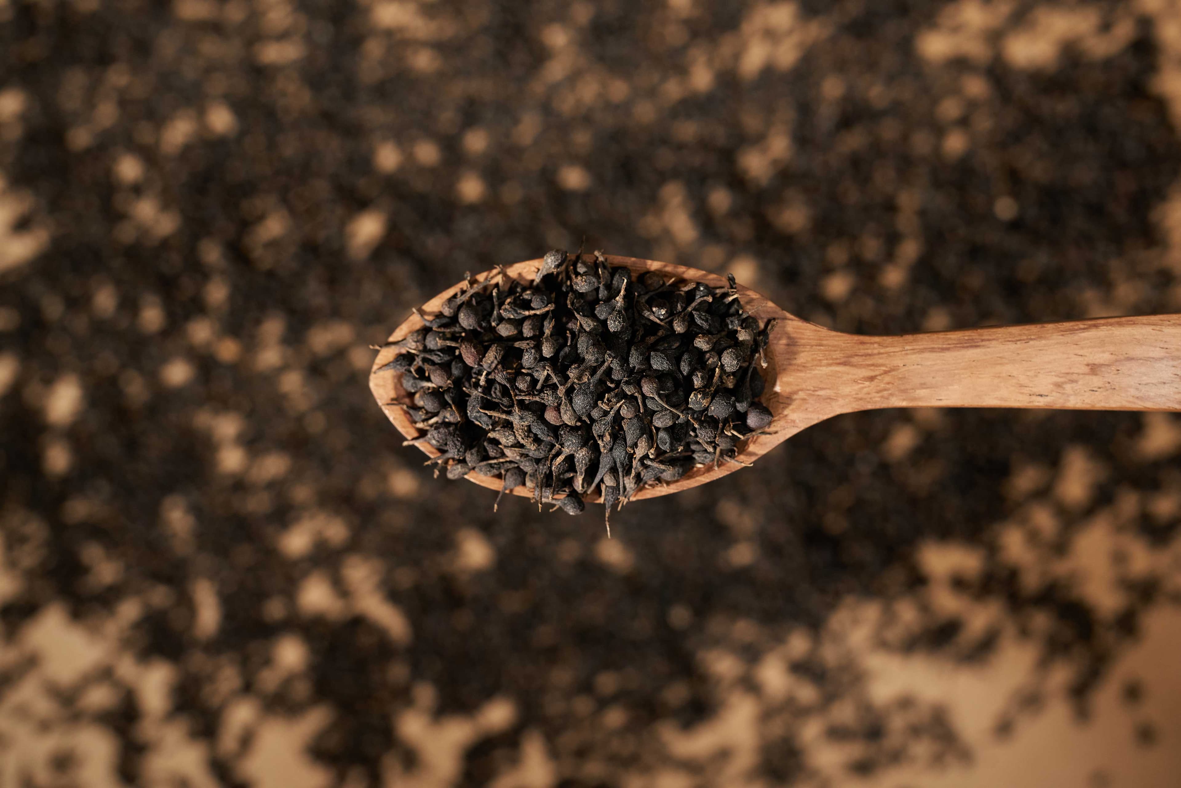 The Subtle Elegance of Wild Pepper