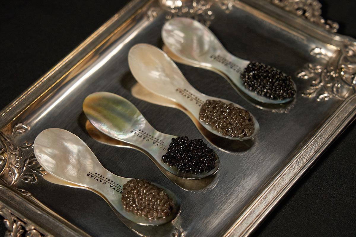 Rova Caviar Madagascar