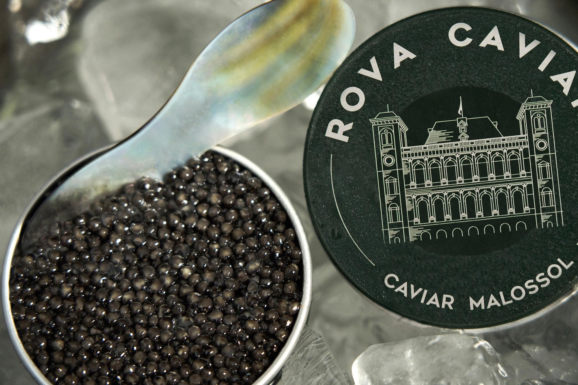Open Persicus Caviar Box with green reflections