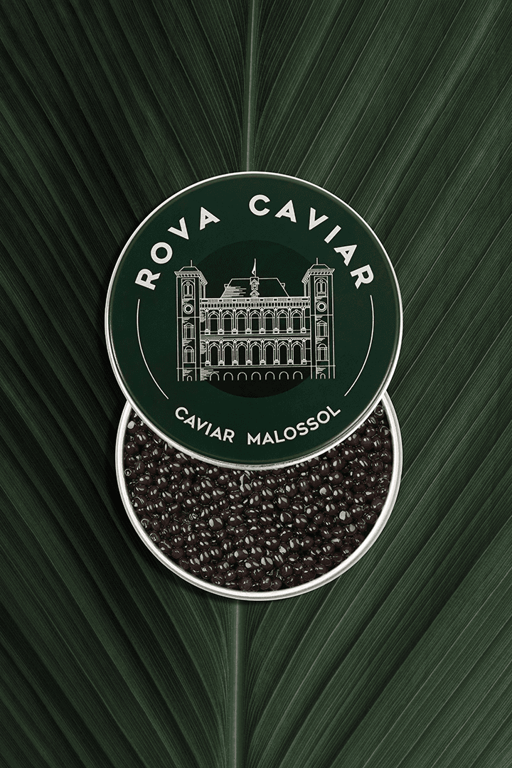 Boîte semi-ouverte de caviar