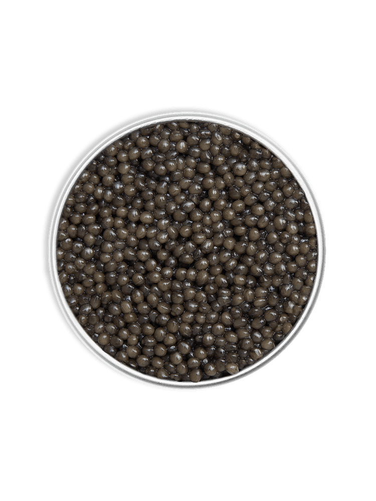 Rova Caviar - Osciètre Imperial