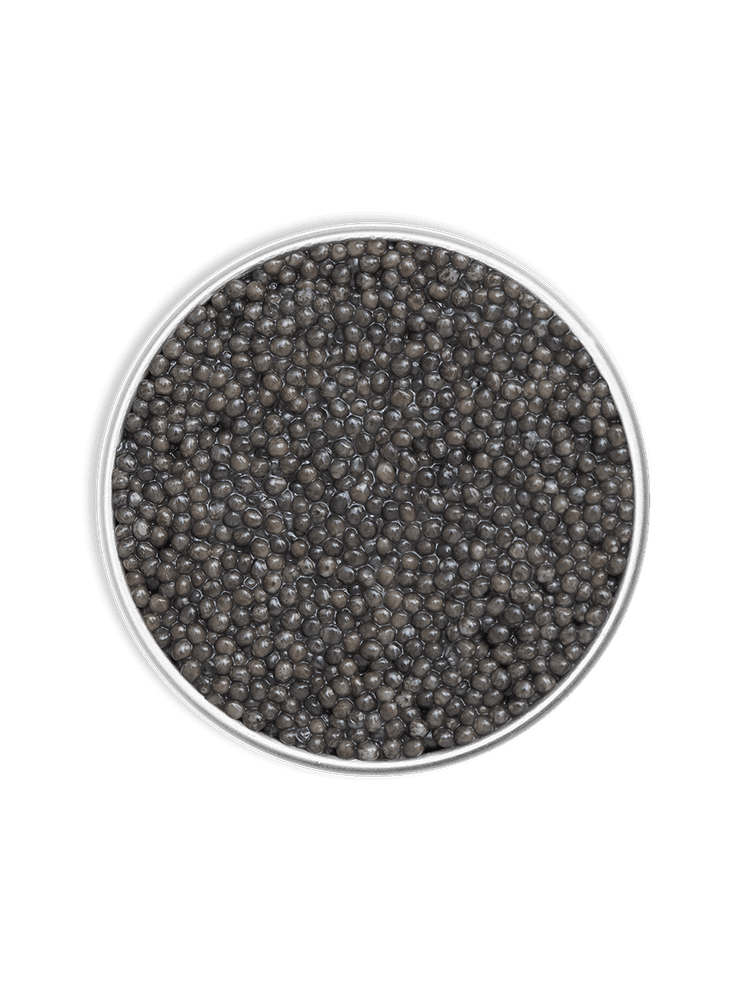 Rova Caviar - Sevruga Royal