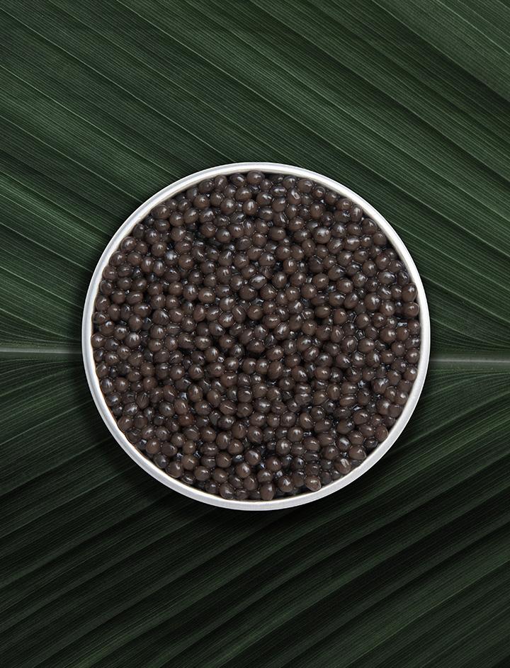 Open Ossetra Imperial Caviar Box on natural background