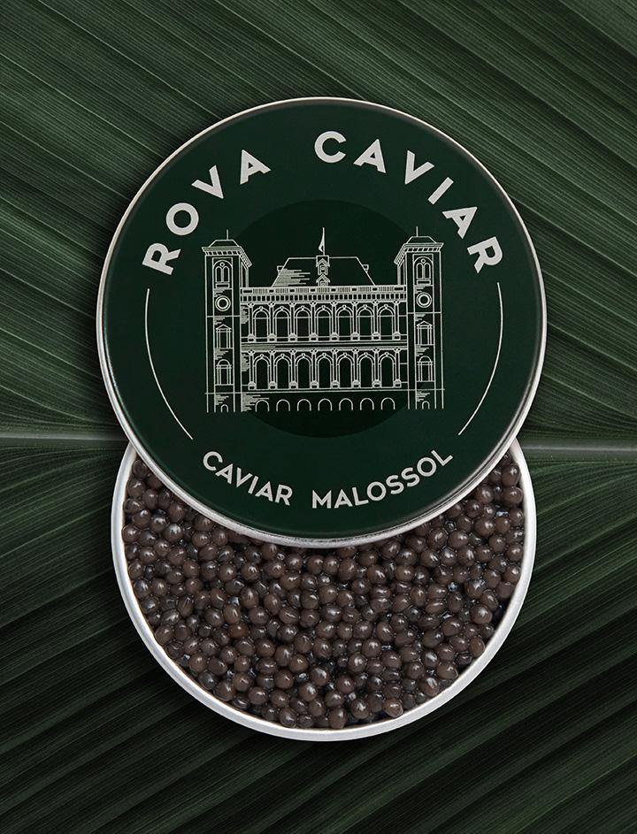 Semi-open box of Imperial Ossetra caviar on natural background