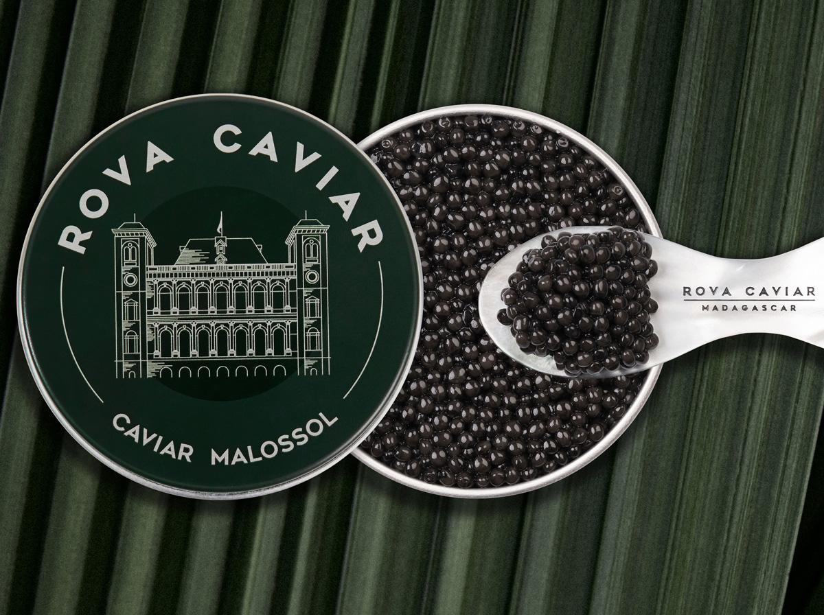 Open Persicus Caviar on a natural background with a mother-of-pearl spoon