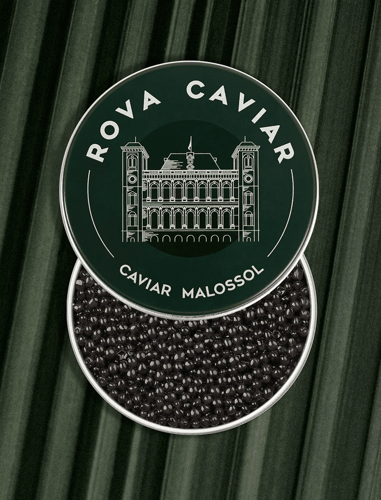 Semi-open box of Persicus Ossetra caviar on natural background