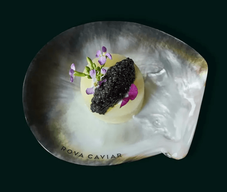 “Une belle taille,<br/>parfaite pour sublimer des plats”
