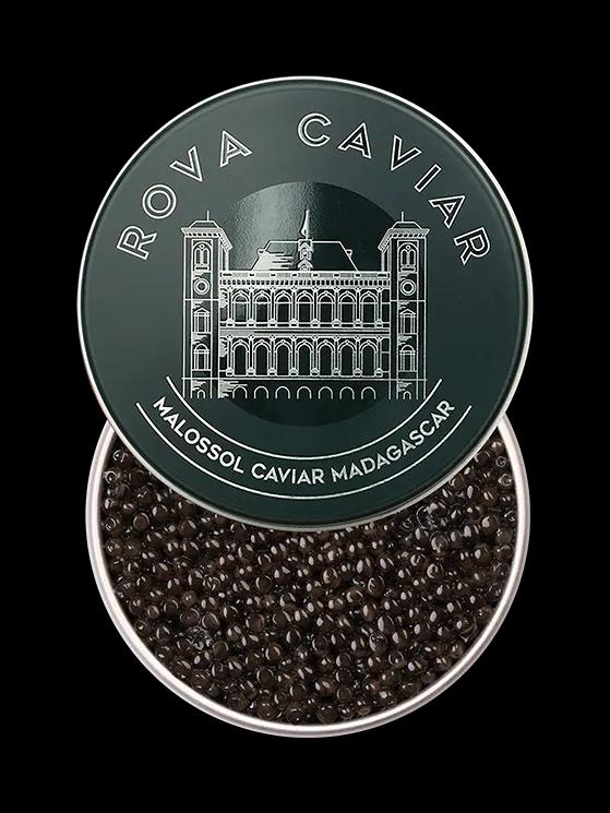 Boîte semi ouverte de caviar Baeri Royal  sur fond naturel 