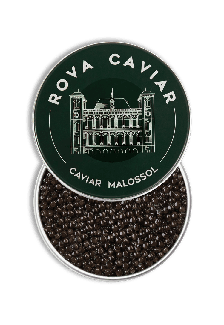 Semi-open box of Baeri Royal caviar on natural background