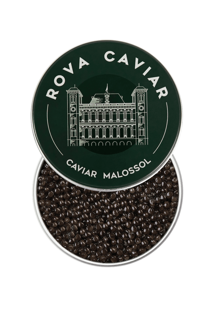 Boîte semi ouverte de caviar Baeri Royal  sur fond naturel 