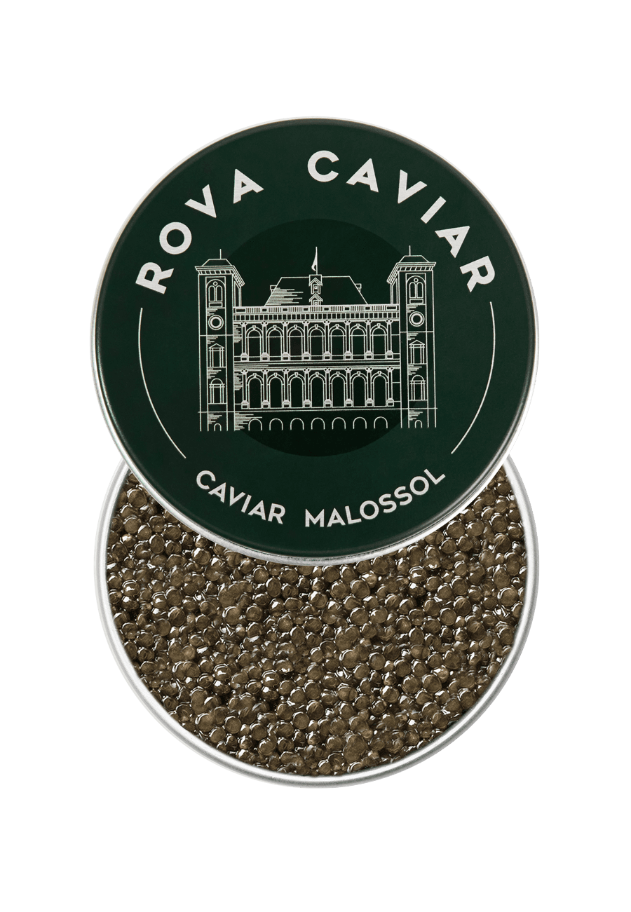 Baeri Suprême - Rova Caviar