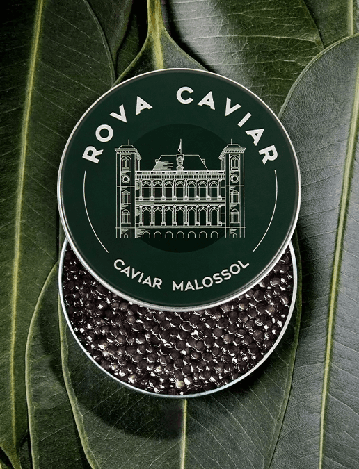 Semi-open box of Baeri Royal caviar on natural background