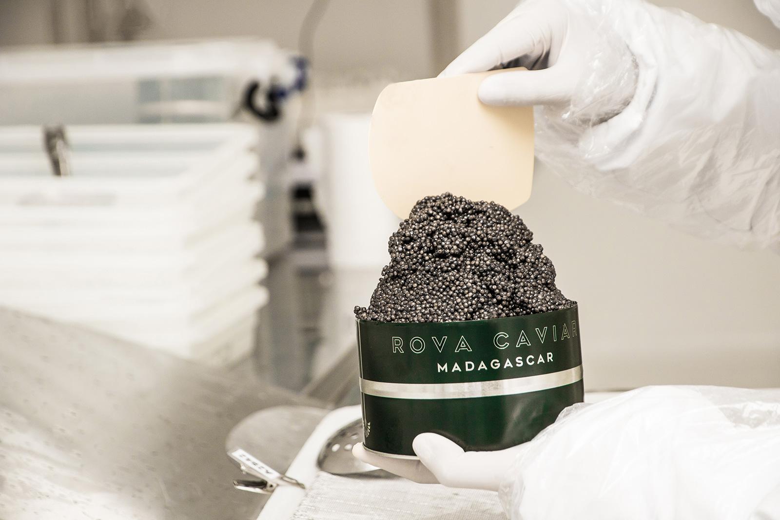 Rova Caviar Madagascar