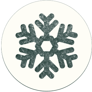Icône flocon de neige