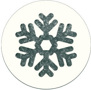 Snowflake icon