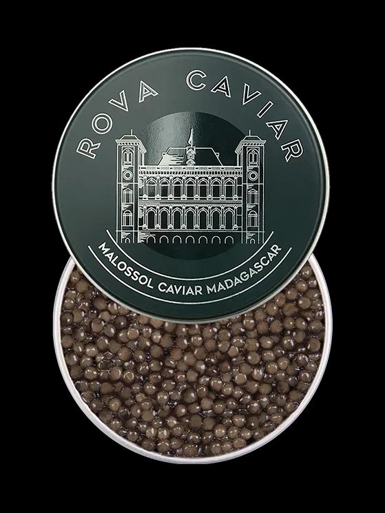 Semi-open box of Imperial Ossetra caviar on natural background