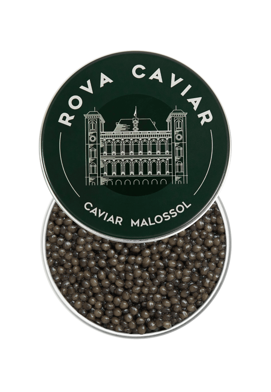 Osciètre Impérial - Rova Caviar