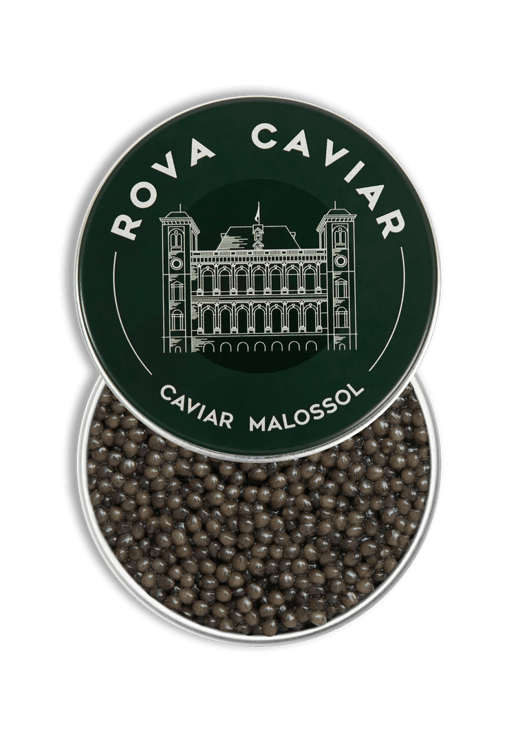Semi-open box of Imperial Ossetra caviar on natural background