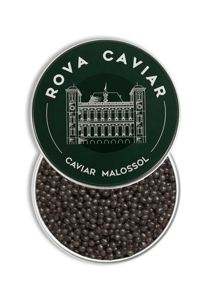 Semi-open box of Imperial Ossetra caviar on natural background