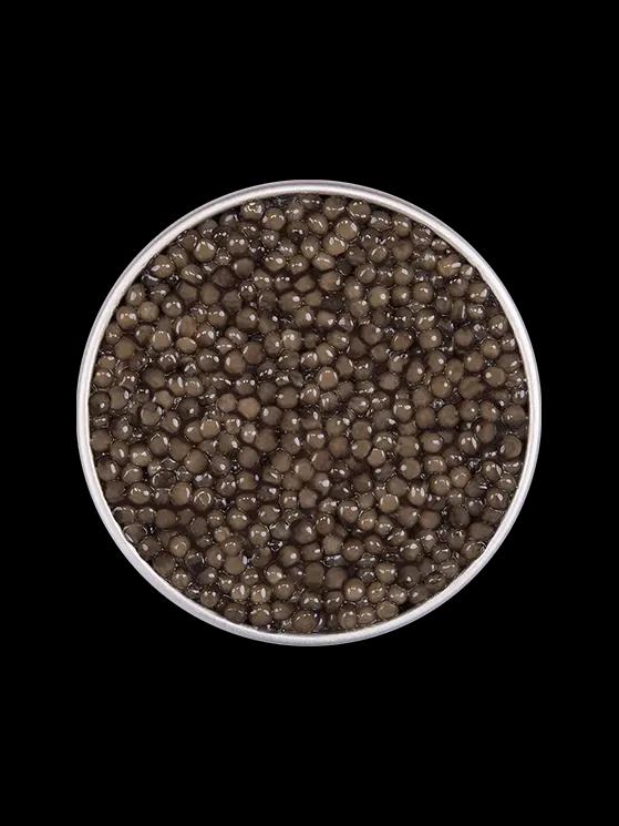 Boîte de caviar Osciètre Impérial sur fond naturel
