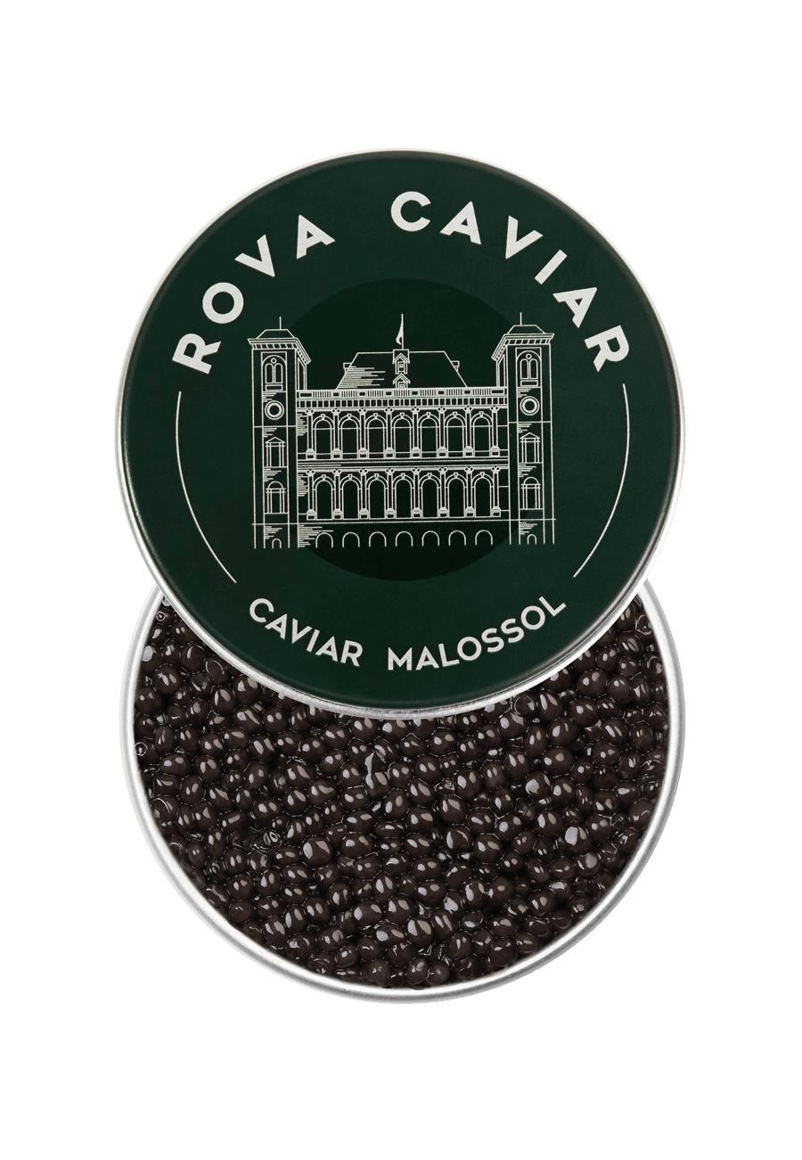 Osciètre Royal - Rova Caviar
