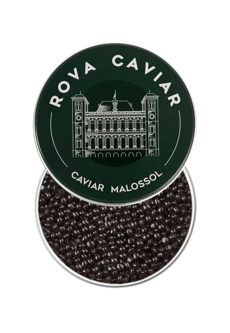 Boîte de caviar Osciètre Royal ouverte sur fond naturel