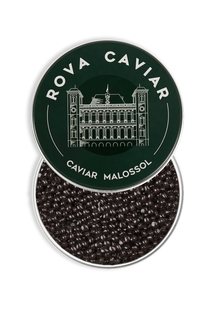 Open Ossetra Royal Caviar Box on natural background
