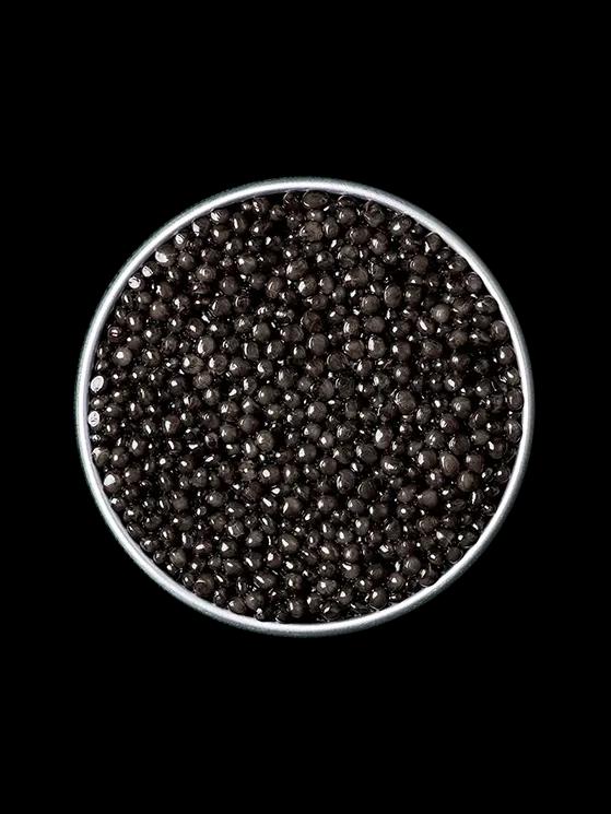 Boîte ouverte de caviar Osciètre Royal sur fond naturel