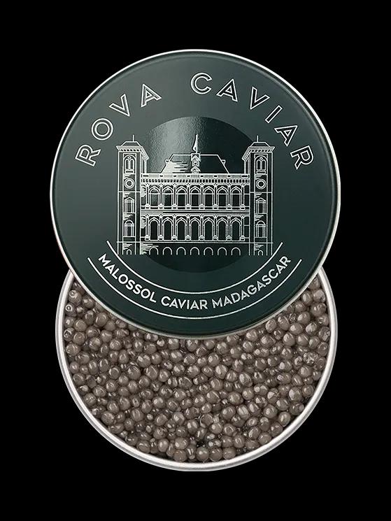 Boîte de caviar Osciètre Supreme ouverte avec couvercle sur fond naturel