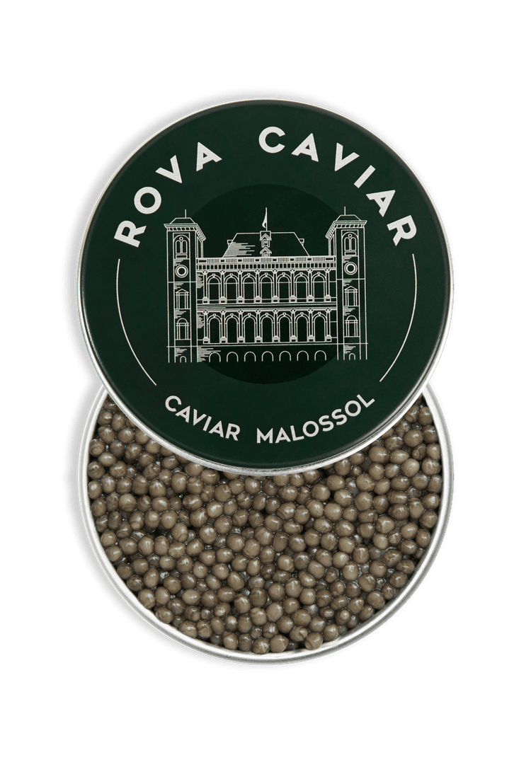 Open Ossetra Supreme Caviar Box with lid on natural background